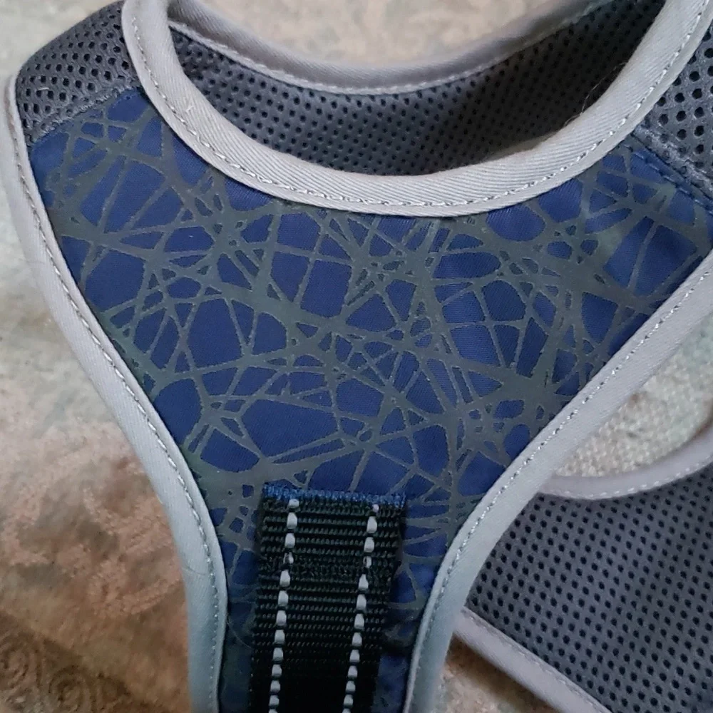 Large cat harness with long leash included